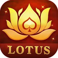 teen patti nobe download